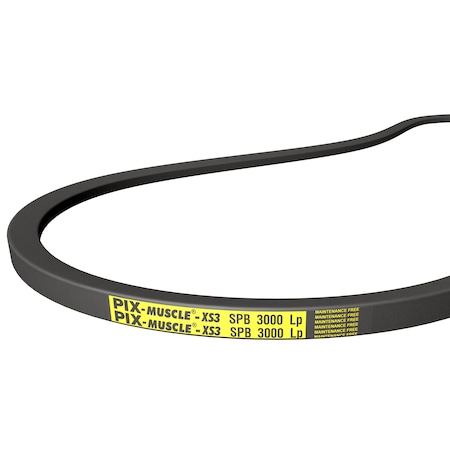 Belt, Muscle- B/5L, 21/32 X 48 In. OC